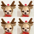 Dettaglio felpa in peluche a renna per cani con corna 3D e decorazione naso rosso - XS / Alce Albicocca con Coulisse