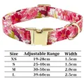 Größentabelle für Hundehalsband mit Blumenmuster und goldenem Metallschnalle - Einzelnes Halsband / Größe XS(19-28cm) / Rosarot Floral