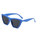 Retro hip-hop cat-eye sunglasses with bold blue chunky frames and dark grey lenses - Blue Frame Gray Lens
