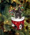 Niedlicher schwarzer Hund mit Rentiergeweih in einer roten Weihnachtssocke - Schwarzer Akita