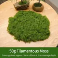 Green string-like artificial moss, 50g pack for DIY micro landscape decoration - 50 g / Light Green