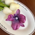 Pince à cheveux fleur de pivoine violette en tissu avec une perle centrale - 28# Cymbidium Violet