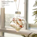 Ornamento natalizio a forma di cipolla con bacche rosse e neve artificiale, 8x8 cm - 8CM Palla a Cipolla Trasparente Bacche Rosse