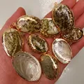 Ovaler Muschelanhänger mit goldfarbenem Rand für DIY Schmuckherstellung - Dunkelgrüngold geränderte kleine Abalone-Muschel
