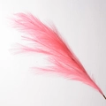 9-Head Reed Pink