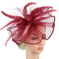Elegant wine red mesh fascinator hat with feather accents on a mannequin head - Burgundy