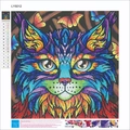 5D DIY cat diamond painting kit with colorful owl design for wall decor style LY5012 - LY5012 Colorful Cat
