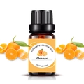 10ml sweet orange essential oil in amber glass bottle with fresh citrus fruit slices - 10ml / Sweet Orange