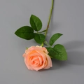 Seide Champagnerrosa