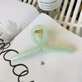 Matte light green 13cm hanger hair claw clip with golden metal spring on book page - 13cm Hanger Type / Jelly Cyan