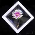 Daisy floral brooch with pink gradient petals in a white 3D floating display box - White Daisy Style (XZ153 White)