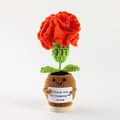 Handmade crochet orange carnation plant with Thank You card and wooden base - Carnation Potted Orange Red (No Base)
