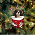 Cavalier King Charles Spaniel Welpe im Weihnachtsstrumpf als Weihnachtsbaumschmuck - Cavalier King Charles Typ 2