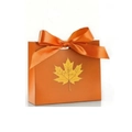 Orange paper gift bag with golden maple leaf and matching silk ribbon bow - Orange / 11.5*4.5*10