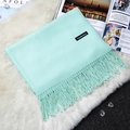 Elegant mint green cashmere scarf with fringe details on a plush white texture - Fruit Green