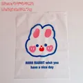 Frosted 35x45cm travel storage bag with cartoon rabbit design and zipper seal - 4# Soft Cute Rui Rui Rabbit (Extra Large)