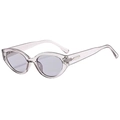 Occhiali da sole ovali cat-eye alla moda con montatura grigio-viola trasparente - Grigio Trasparente Lente Grigio Chiaro (C03)