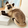 Realistisches Siamkatzen-Plüschtier in sitzender Pose mit creme- und dunkelbraunem Fell - 25cm / Liegende Siamkatze