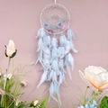 Blue and white dreamcatcher pendant with delicate feathers and butterfly accents - Finished Product / Blue
