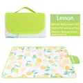 Foldable waterproof lemon pattern 600D Oxford cloth picnic mat with PVC backing - Lemon