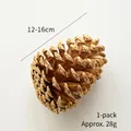 Pomme de pin naturelle dorée 12-16cm pour décoration de couronne de Noël DIY - Pin Américain / 1 Pièce / Or
