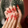 JP1288-Matte Red Snowflake Gingerbread