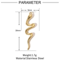 Detailed parameter view of gold snake pendant showing 39mm length and steel material - Snake / Gold