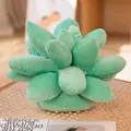 Mint green succulent plant plush pillow in a cozy woven tray for home decoration - Light Green
