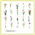 Set of 40 vintage tulip PET stickers in 20 assorted floral patterns for journaling - Tulip Record-40PCS