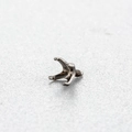 F136 titanium threaded screw-head 4-claw zircon stud earring setting in metallic silver - 3mm (Single Piece)