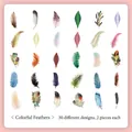 Colorful feather scrapbooking stickers, 60 pieces with 30 unique natural designs - Colorful Feathers