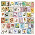 50pcs transparent floral stamp stickers with vintage nature and botanical art designs - Transparent Flower Stamp Series