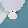 Cute white rabbit acrylic badge pin accessory for children bags and clothing decorations - Cute Little Bunny