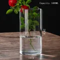 1400ML cylindrical glass hydroponic vase for indoor plants, 20cm height by 10cm base - D10cm*H20cm (1400ML)
