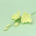 Detail of handcrafted green crochet dendrobium flower stem with delicate yarn texture - Green