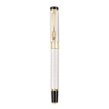Morandi silver textured business fountain pen with golden leopard head clip detail - Leopard Matte / Silver / Single
