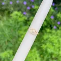 18K vergulde boze oog ring met micro-geplaveide zirkonia kristallen voor dames - Boze Oog-Micro Pave