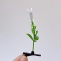 Cute sprout hair clip with green leaves and small white flowers on a black duckbill pin - Lily