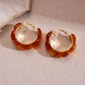 Detailed macro view of amber resin geometric hoop earrings with polished gold metal finish - Hoop-Dark Coffee