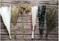 Mix of bleached reed grass, pampas and bunny tails dried flower set on wood background - ￡￡￡￡007 - New 7-piece Set ￡￡￡￡