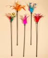 Five assorted feather cat teaser wands with long black rods and colorful tassel accents - Feather Mesh Tube