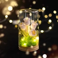 Luce notturna a tulipano all'uncinetto in cupola di vetro con luci LED e base di muschio - Mughetto Bianco