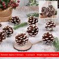 Set de 12 piñas naturales con efecto de nieve blanca para decoración navideña - Juego de 12 / Blanco (Puntas de Nieve)