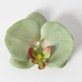 Testa di orchidea phalaenopsis verde chiaro per accessori capelli sposa fai-da-te - Seta Verde (Grande)