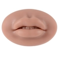 Flesh-toned silicone lip and teeth model for lipstick and piercing practice - Brown-Mouth