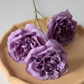 3-Head Martin Purple