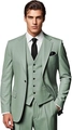Detailed view of premium sage green slim-fit three-piece suit fabric and texture - 2XS / As Shown