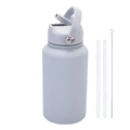 Morandi grey-blue 650ml insulated sports bottle with straws and cleaning brush set - Light Gray