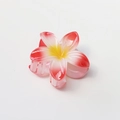 Close-up of 8cm plumeria hair claw clip with glossy resin finish and gradient petals - Glossy Red White Gradient