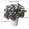 Artificial Calathea potted plant with purple and green leaves in a white pot, 30cm high - Large Pot + Purple Feather Leaf